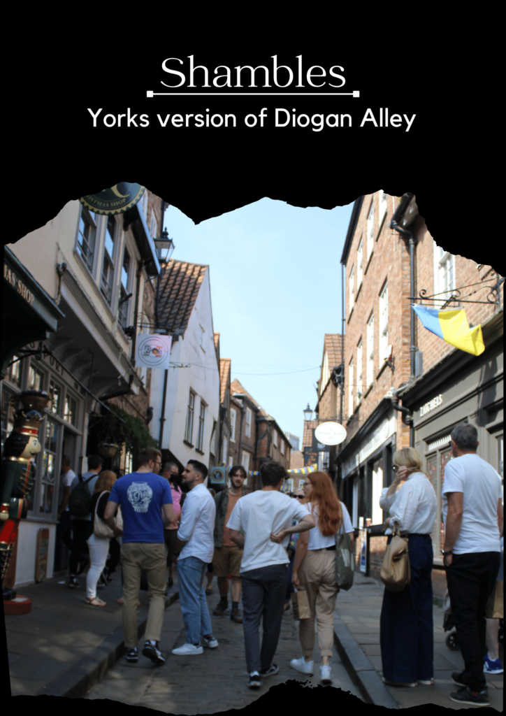 York Shamble Diogan Alley